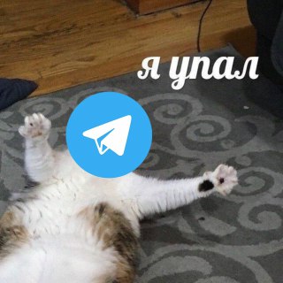 Телега приуныла. Российские пользователи сообщают о сбоях в работе мессенджера