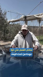 בתנאים כמעט בלתי אפשריים, כוורנים מנסים להחיות את חוות הדבורים ברצועת עזה.