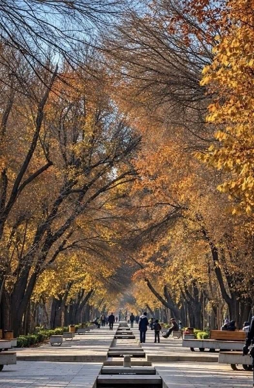 هنر و میراث فرهنگی نصف جهان: ♦️ حال و هوای پاییز در چهارباغ اصفهان... 🍁🍂🎨 پایگاه خبری هنر و میراث فرهنگی نصف‌جهان🔗 https://t.me/miras_isf