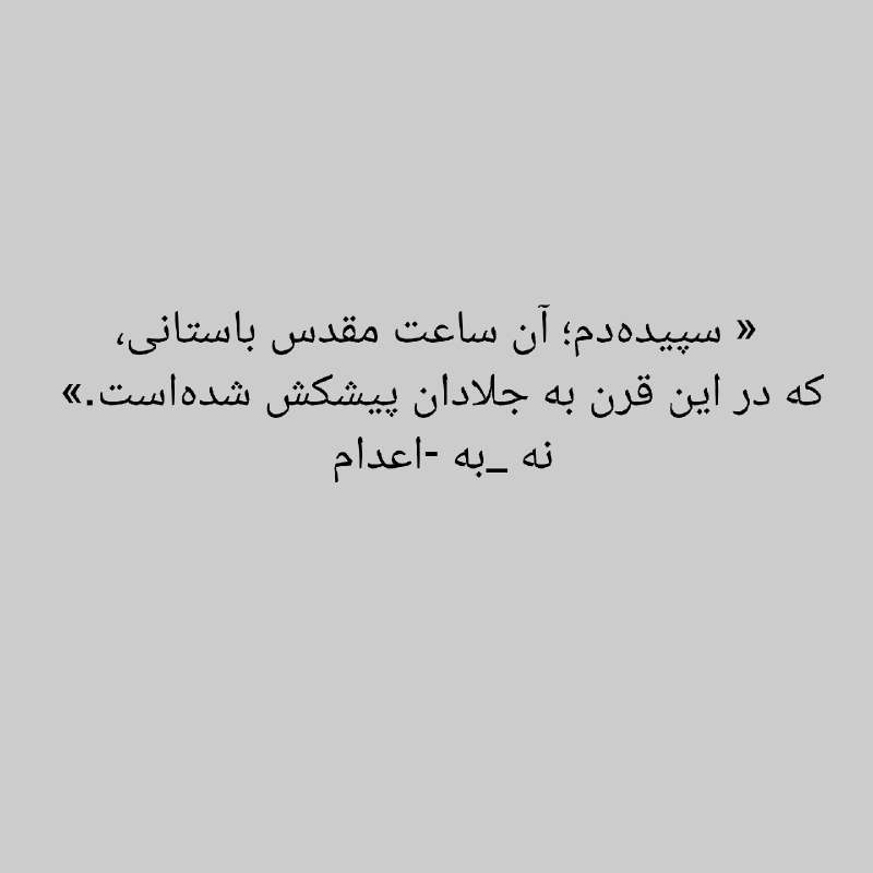 آکادمی فلسفه و هنر مارزوک: رسانه پست