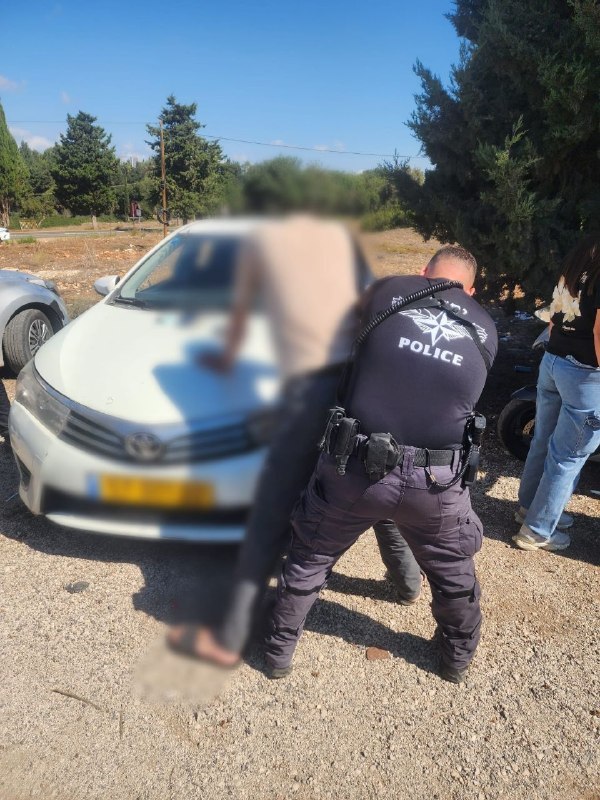 אור רביד