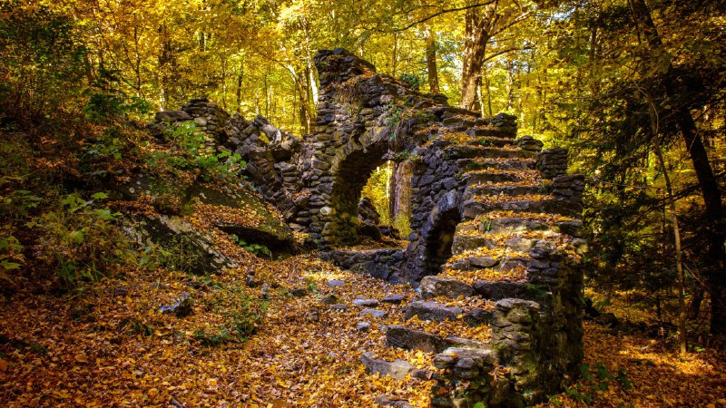 Stairway to nowhereMadame Sherri Forest and the ruins of an old castle, New Hampshire (© yggdrasill/Shutterstock)