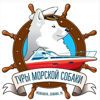Telegram profile photo for Морская Собака • Туры по Приморью | Экскурсии Владивосток