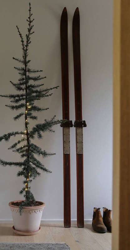 А вот вам немного вдохновения В качестве кашпо может служить любая емкость ваза, винтажная посудина из стекла или металла, ведро, салатник. Мы огра... - изображение 1 - telegram, view, немного