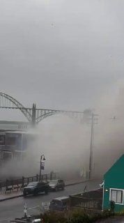 פינוי מיידי בניופורט אמריקה בציפייה לדלפת אמוניה ממפעל הביו.link/alghade ertv, לעקוב אחרינו בתדירות הבאה 10…