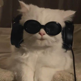Telegram profile photo for 💞ӘҢГіМЕ 𝗧𝗔𝗡𝗬𝗦𝗨 💞