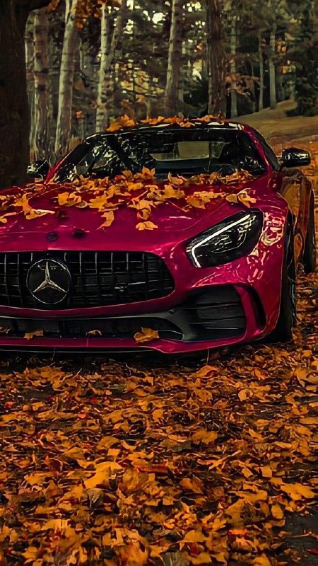 @sochiautoparts