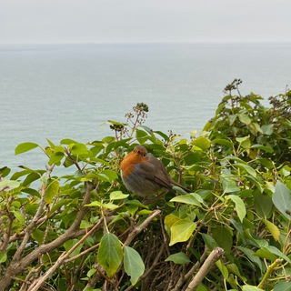 Telegram: Contact @dublinsk Telegram Group Link