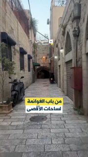 جولة في طريق باب الغوانمة بالقدس القديمة