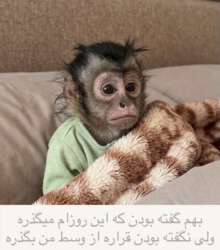 [ احمق … ]: شب بخیر 💔@ahmaq #Lasso