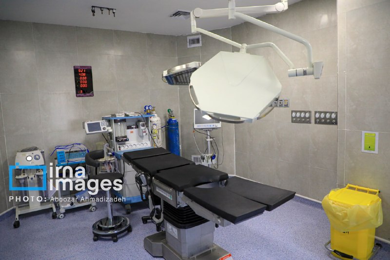 Iran's high medical capacity in the world arena