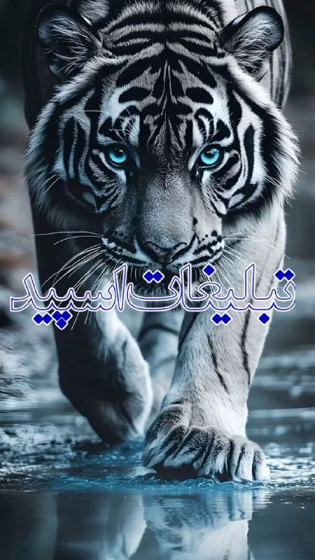 گروه دخترونه دوستیابی اهواز: ❶﹚ نام : حرف وغزل❤️❷﹚ نو؏ تبلیغات : #telegram❸﹚ توضیحات :حَــرف و غَــزَلمحفلِ اهلِ دل و اهلِ قلمهر حرف، یک قصه؛ هر غزل،