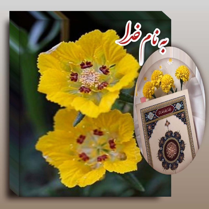 ذڪـر رۅزانـہ: ᪥࿐🏵❤️﷽❤️🏵࿐᪥ @zekrroozane ذکرروزانه✳️ دعای پیش ازخواندن قرآن ✳️ اَللّهُمَّ بِالحَقِّ اَنزَلتَهُ و بِالحَقِّ نَزَلَ ،، اَل