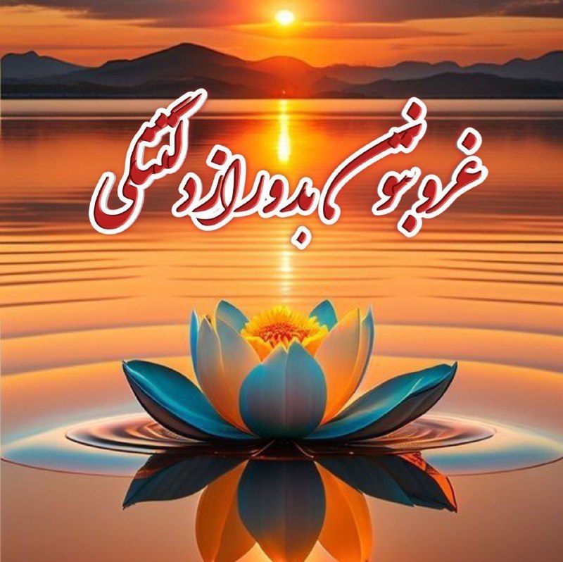 🧚♀کانال لایک وگیف🧚♀: ☆می بینیغروب چه همرنگِتنهاییُ و دلتنگی آدمهاستو چه قشنگ..میان پنجرهها قد میکشدو چه عجیب..غصهها را زیبا پر رنگ می
