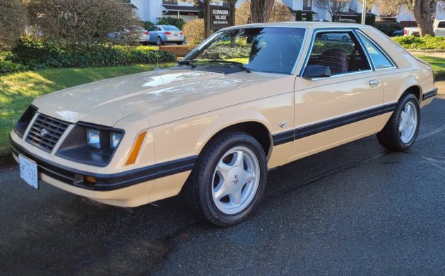 Rare GLX Trim: 1983 Ford Mustang за 2000 долларов — почему он может заинтересова