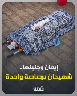Iman and her fetus "Ayoub" were killed by a single Israeli bullet inside the displacement tent in Mawasi Khan Yunis
