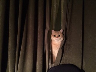 Сегодня отмечается Всемирный день театра. Всех причастных — с праздником.