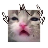 \_Lenь_/