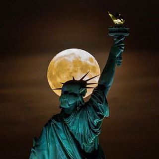 Вакансії, допомога, моделі Ньюйорк NYC | New-York