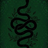 🐍【 𝙳𝚎𝚕𝚒𝚌𝚊𝚝𝚎 𝚜𝚗𝚊𝚔𝚎 𝚜𝚌𝚊𝚕𝚎𝚜 】✧