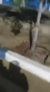 🚨 הרגע שבו מגדל הפיקוח הימי היה ממוקד ברציף ההרוגים של קלנטארי בצ'באהר