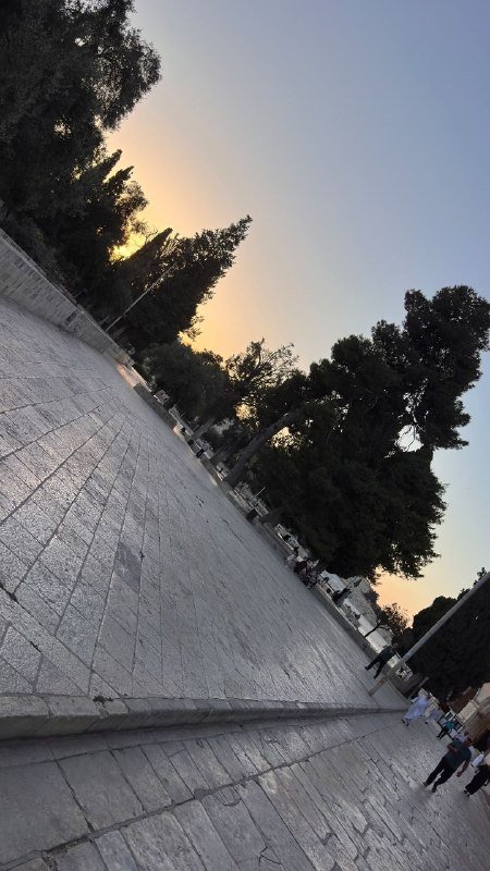 רשת חדשות ירושלים