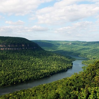 Tennessee News Telegram Group Link