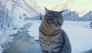 旅行_向冬天告别，冰雪层叠的童话作者在几周的时间里用 BMPCC6K 拍摄了冬季阿尔卑斯山。这个冬天阿尔卑斯下了很多雪，阳光明媚。作者的画面构图采用了极简主义的策略，捕捉宽阔和丰富的风景，以及某些专注的细节。所有的拍摄都是在 -10℃ 到 +5℃ 之间的气候下完成。From Of Two Lands----------------------获取更多RSS：https://feedx.nethttps://feedx.sitevia 开眼Invalid media: video