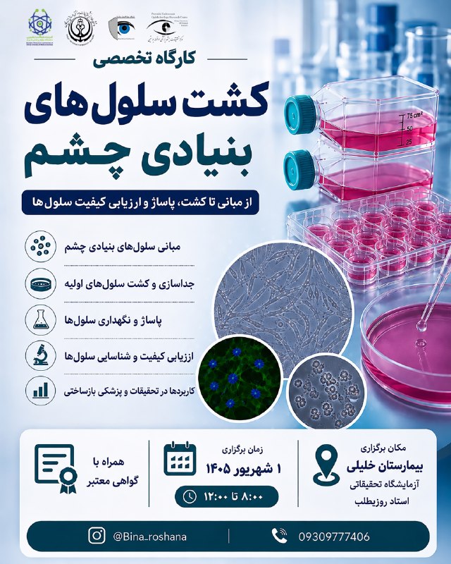 SUMS SRC: کارگاه یکروزه و تخصصی کشت سلولدر این کارگاه، فرآیند استخراج و کشت سلولهای پرایمری لیمبال از بافت چشم انسان بهصورت مرح