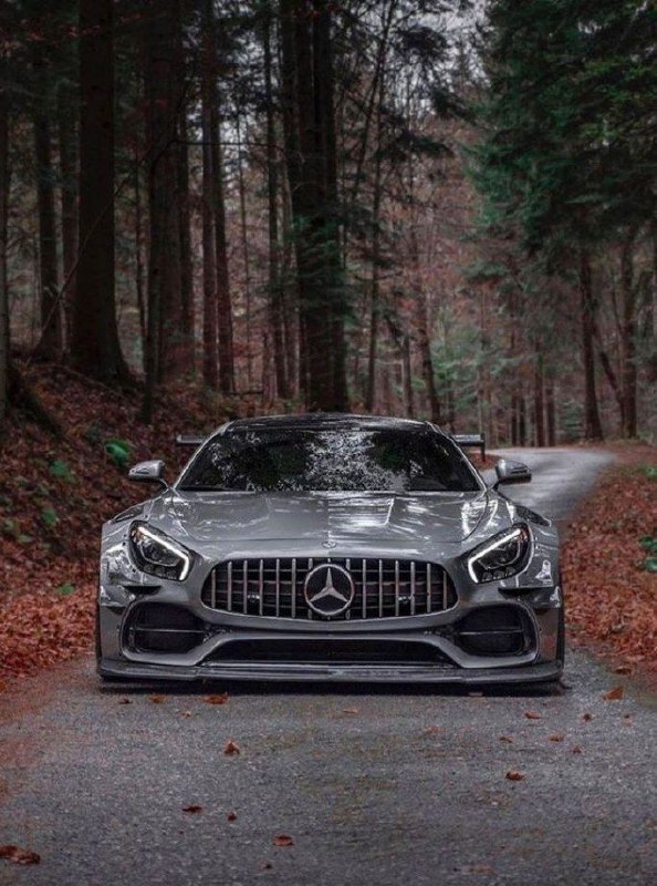 Mercedes Benz
