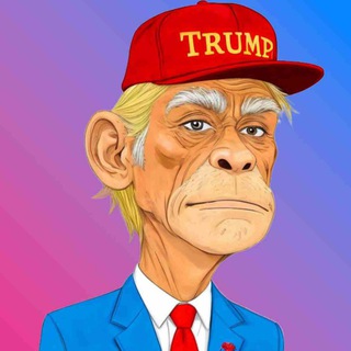 Telegram profile photo for Ape Vote