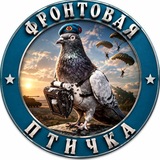 Фронтовая птичка