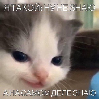 Не стыдно показать маме! Telegram channel profile photo