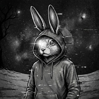 Money Bunny Telegram channel profile photo