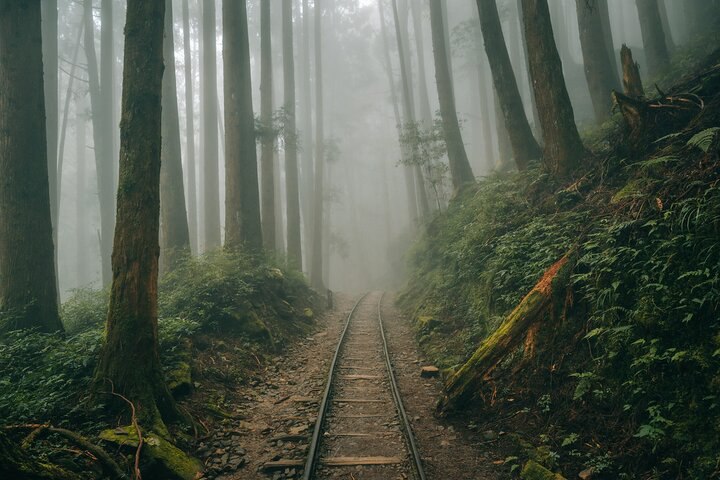 輕鬆版的眠月線｜特富野古道