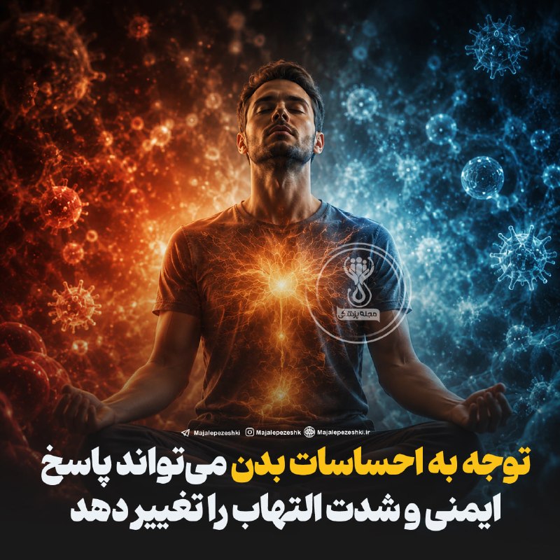 مجله پزشکی: توجه به احساسات بدن می‌تواند پاسخ ایمنی و شدت التهاب را تغییر دهد!◽️پژوهش جدیدی نشان می‌دهد توجه آگاهانه به احساسات ناشی