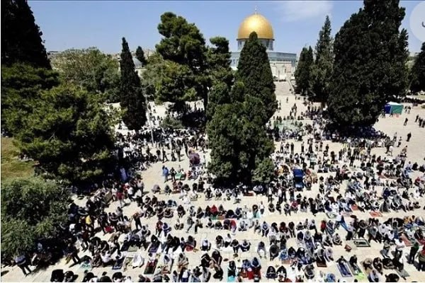 پایگاه خبری حاجت: برگزاری جشن میلاد پیامبر اکرم(ص) در مسجدالاقصی🔹فلسطینیان با آذین‌بندی و سرودهای مذهبی سالروز میلاد پیامبر اکرم(ص) را در 