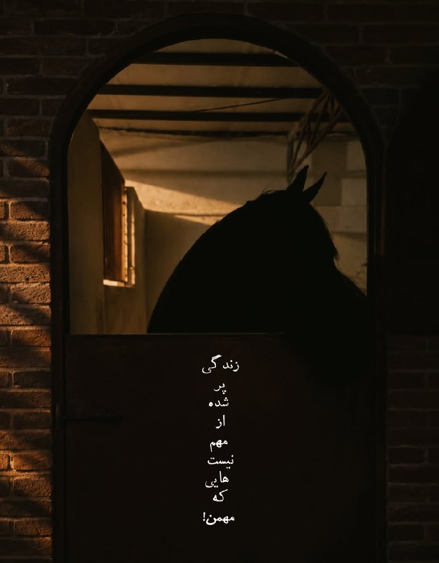 ژلوفن | gelofen: مهمن عزیزِمن..@gelofen | ژلـــوفـن