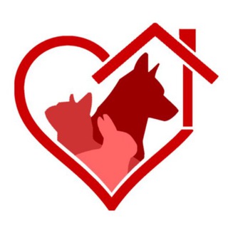 Mascotas Adopción Telegram Group Link