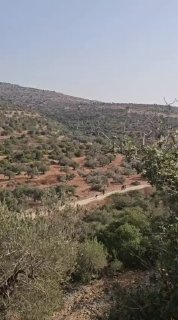 Settlers attack farmers on their land in the village of al-Laban al-Sharqiya, south of Nablus.