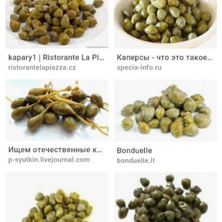 KOVULCHILIK🌻🌻🐝🐝🌿🌿🌱🌱