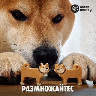 Собачьи свахи зарабатывают до 20к рублей за час работы. Нашли для вас самый необычный способ разогнать месячный доход до 1 млн.Как выяснил Mash Money, востребованные спецы с хорошими отзывами просят минимум 5к рублей. Поступают грамотно. Услуга нужна всем 