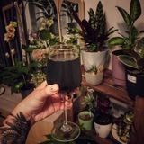 Green_vibes 💚