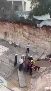 אור רביד