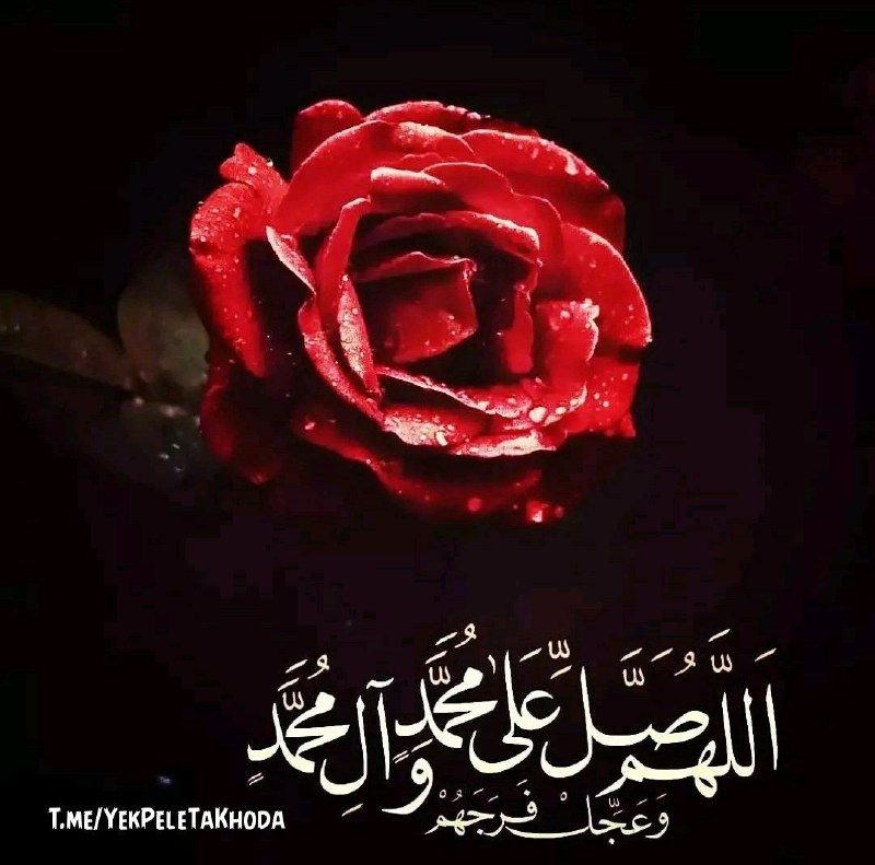۞یک پله تا ملاقات خدا۞: 🌹 @YekPeleTaKhoda🌸خواهی برسی💞به چشمه آب حيات🌸لبريز شود💞نامه‌ی تو از حسنات🌸 بر روی سرت💞ببارد از حق بركات🌸 بفرست💞دمادم بر 