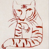 Touch me tiger