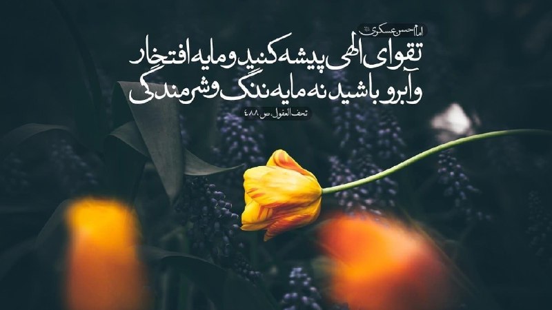 کانال رسمی صابرین نیوز: 🔹امام حسن عسکری: تقوای الهی پیشه کنید▪️ @Saberin_ir