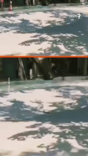 שקיעת הקרקע בעוספיה ויצירת חור בגובה חמישה מטרים ברחוב נישאת ביום שישי, ו' שחריבר, מיקדו שוב את תשומת הלב ל…