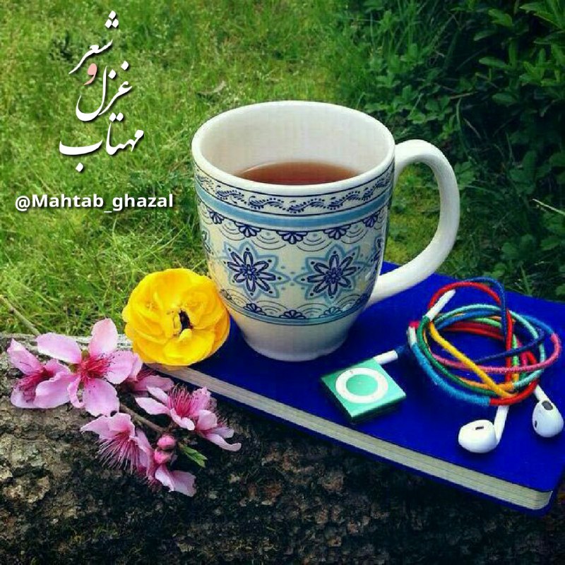 #شعروادب: صبح است و هوای دل من مثل بهار استپلکی بزن و صبح بخیر غزلم باش ‌‌‎‌‌‌꧁꧂‎‌♥️شعروادب♥️꧁꧂
