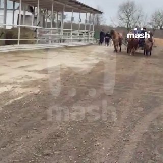 500 гектаров земли выделят африканерам-переселенцам во Владимирской области. Для понимания: это 700 стандартных футбольных полей. По данным Mash, именно эти цифры обговаривали Эррол Маск и губернатор Александр Авдеев на встрече в эти выходные.Земли южноафр